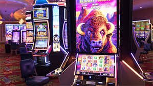 juragan999 Live Baccarat and Digital Round Records